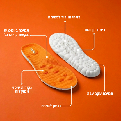 מדרסי העיסוי של וולורה